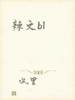 辣文bl封面