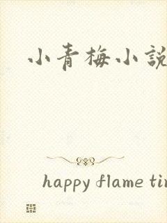 小青梅小说