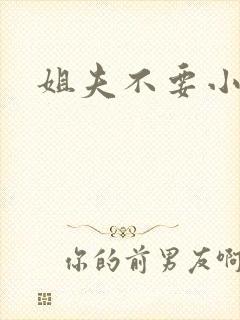 姐夫不要小说