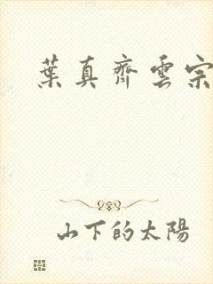 叶真齐云宗免费封面