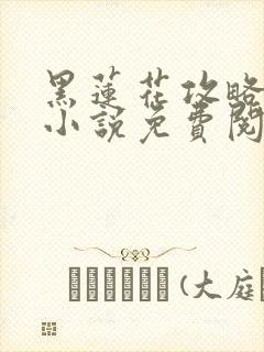 黑莲花攻略手册小说免费阅读全文