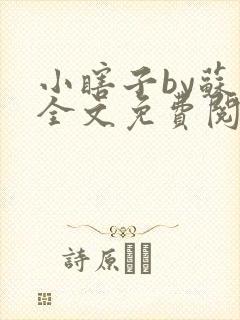 小瞎子by苏软全文免费阅读