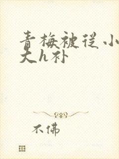 青梅被从小摸到大h补封面
