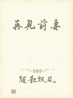 再见前妻
