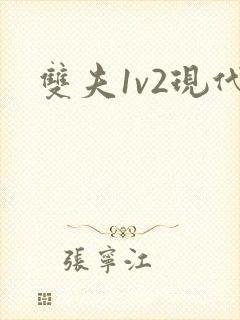 双夫1v2现代
