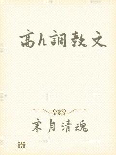 高h调教文
