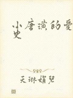 小唐璜的爱情历史封面