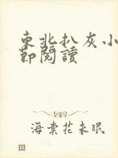 东北扒灰小说分节阅读