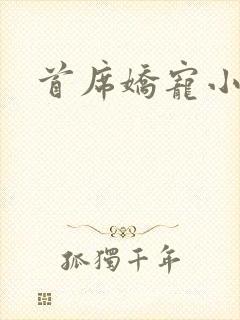 首席娇宠小情人