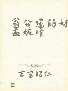 翁公您的好长呀孟婉晴封面
