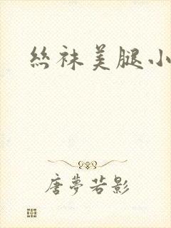 丝袜美腿小说