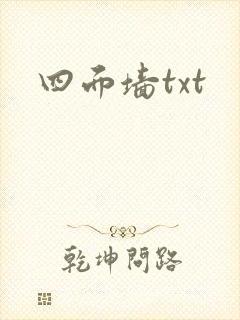 四面墙txt