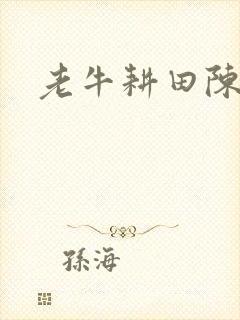 老牛耕田陈雪