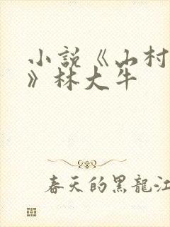 小说《山村情事》林大牛
