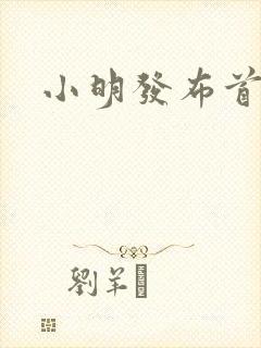 小明发布首页