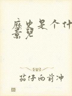 历史是个什么玩意儿封面