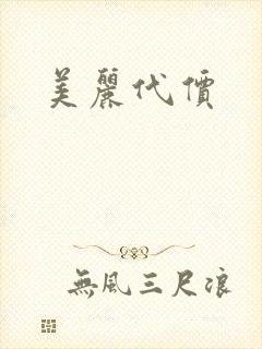 美丽代价封面