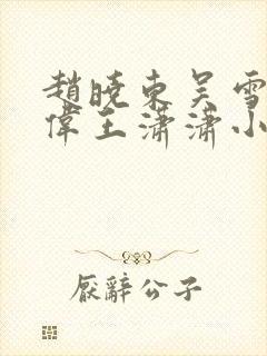 赵晓东吴雪晴郑伟王潇潇小说