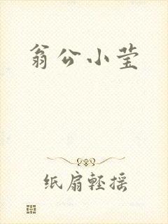 翁公小莹