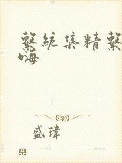 系统集精系统高嗨