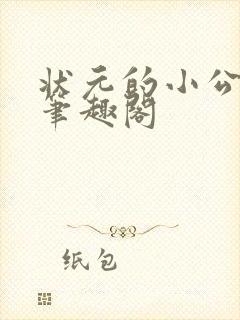 状元的小公主 笔趣阁封面