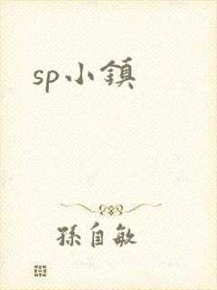 sp小镇封面
