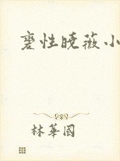 变性晓薇小说
