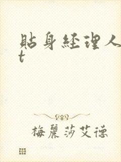 贴身经理人txt