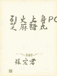 引火上身POP芝麻糖丸封面