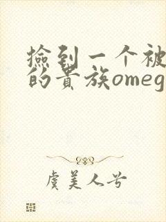 捡到一个被抹布的贵族omega