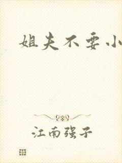 姐夫不要小说