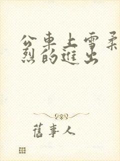 公车上雪柔被猛烈的进出