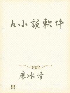 h小说软件