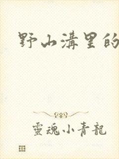 野山沟里的村庄