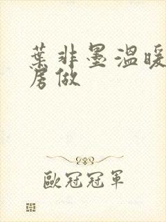 叶非墨温暖在厨房做封面