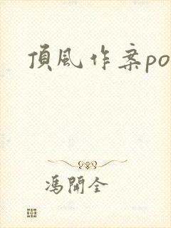 顶风作案po封面