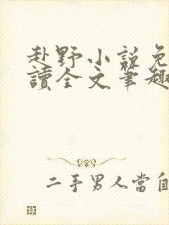 赴野小说免费阅读全文笔趣阁封面