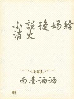 小说后妈给我消消火封面