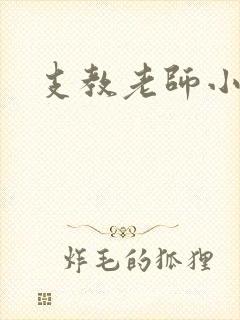 支教老师小说