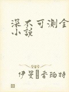 深不可测金银花小说