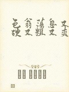 色翁荡息又大又硬又粗又爽电影