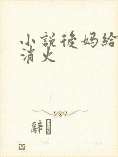 小说后妈给我消消火封面