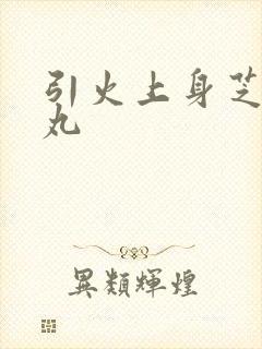引火上身芝麻糖丸封面