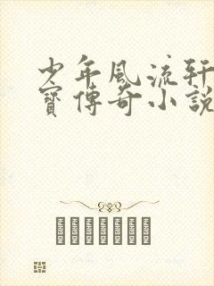 少年风流轩辕大宝传奇小说