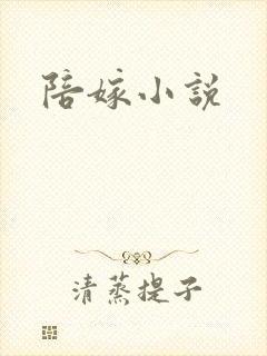 陪嫁小说