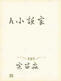 h小说家封面