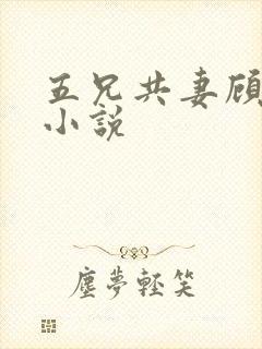 五兄共妻顾心儿小说