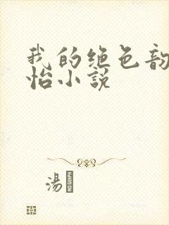 我的绝色韵母郑怡小说