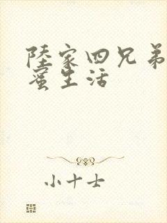 陆家四兄弟的甜蜜生活