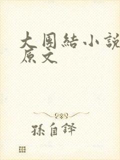 大团结小说阅读原文封面